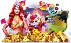 6pgm အသုံးပြုနည်း